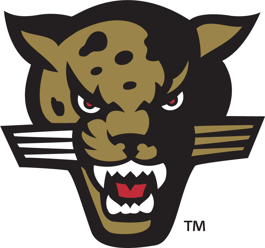 IUPUI Jaguars 1998-2007 Secondary Logo diy DTF decal sticker